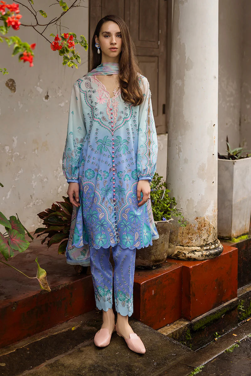 MUSHQ Ameta - 04B