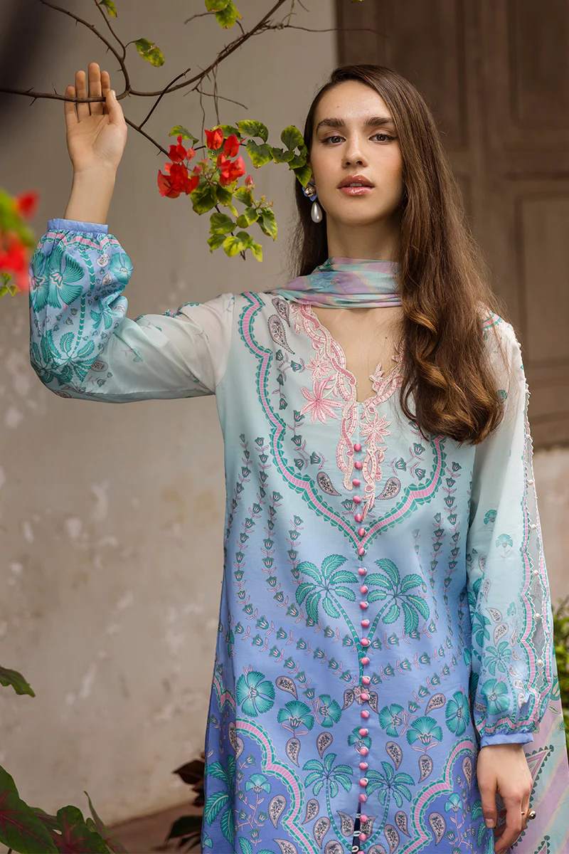 MUSHQ Ameta - 04B