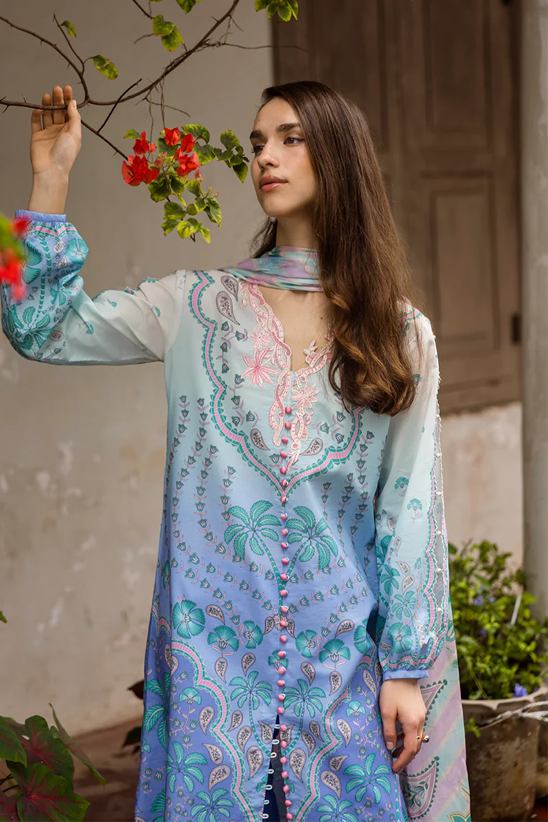 MUSHQ Ameta - 04B