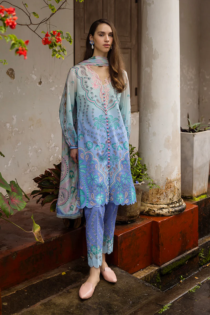MUSHQ Ameta - 04B