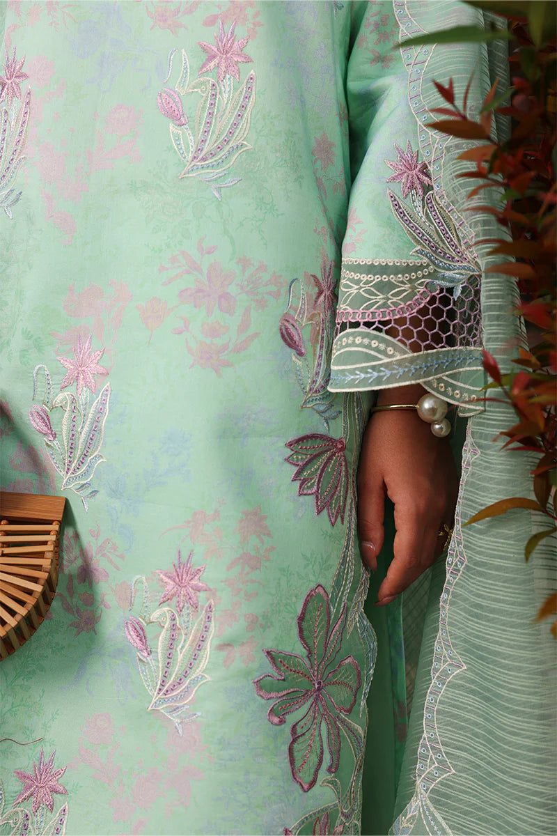 RANG RASIYA Florence Summer Edit '26 Haniya 12