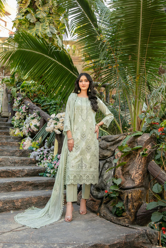 TAWAKKAL Zindagi D-2657