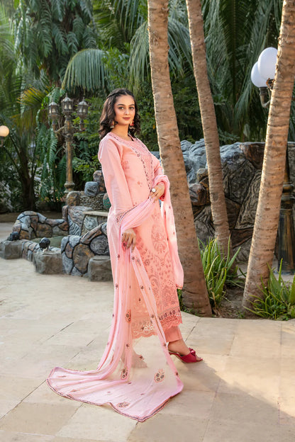 TAWAKKAL NAYIRI D-2756