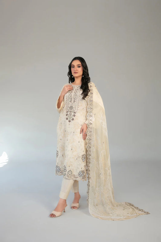 TAWAKKAL CASCA D-2906