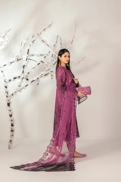 TAWAKKAL Ishq D-5132