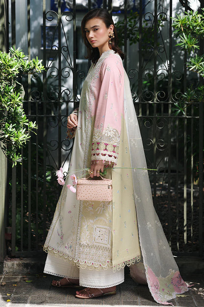 Qalamkar QLINE Lawn Drop 1 RP-02 Aylin