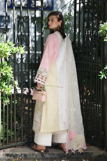 Qalamkar QLINE Lawn Drop 1 RP-02 Aylin