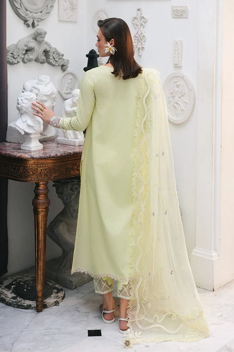 Qalamkar QLINE Lawn Drop 1 RP-13 Moonstone
