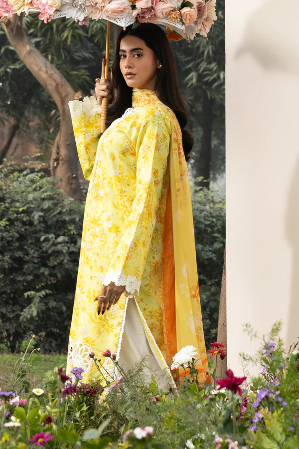 RajBari Summer Printkari Exclusive -05