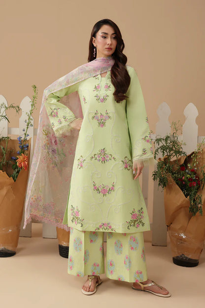 RajBari Jahaan | 11