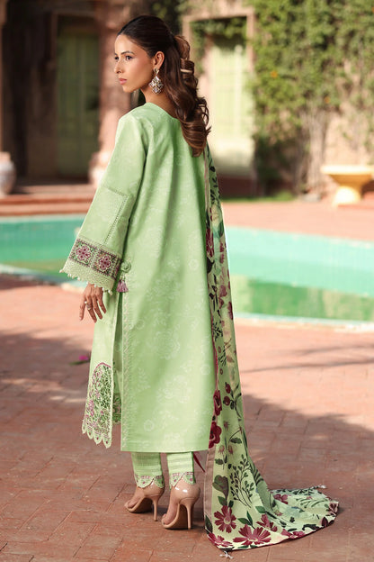 ALIZEH AF-EPL-7034-NUMA