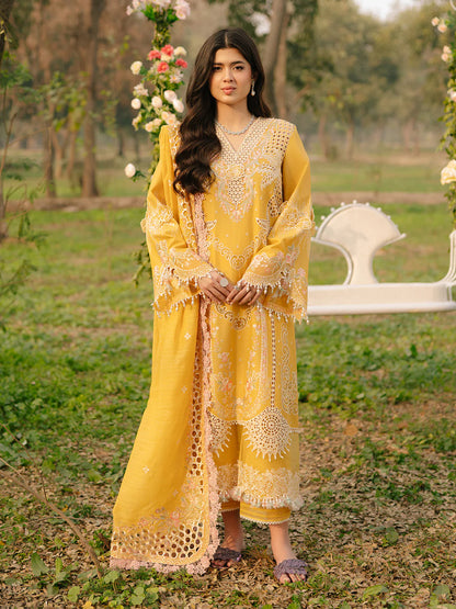 BIN ILYAS Luxury Lawn - 104 A