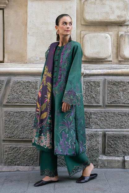 RANG RASIYA Meet Me In Istanbul Winter Collection 26 Forest