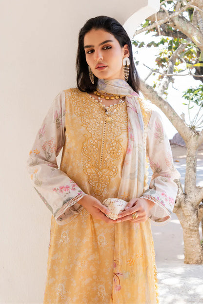 AABYAAN SHEZLIN CHIKANKARI EDIT '26 NURAYA AZ-10