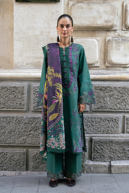 RANG RASIYA Meet Me In Istanbul Winter Collection 26 Forest