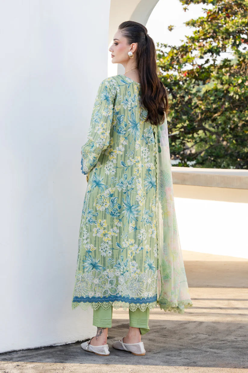 AABYAAN SHEZLIN CHIKANKARI EDIT '26 SOMIYA AZ-12