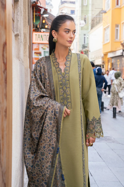 RANG RASIYA Meet Me In Istanbul Winter Collection 26 Willow