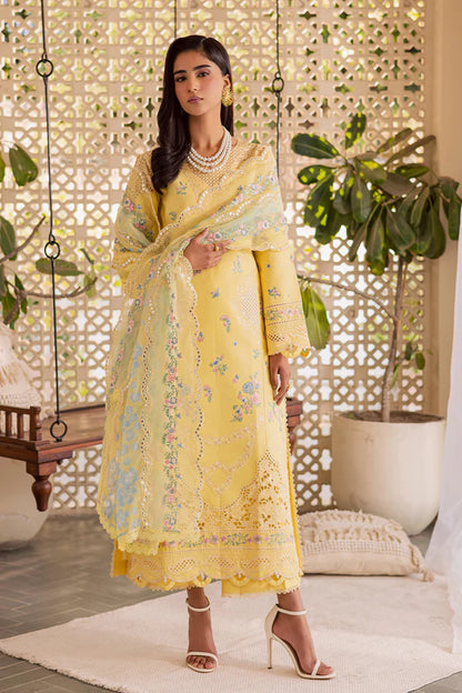 RAJBARI SELENE PREMIUM FESTIVE LAWN Ayzel-01
