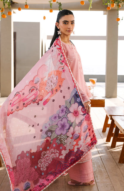 SERAN Afsanah Ziva D-07