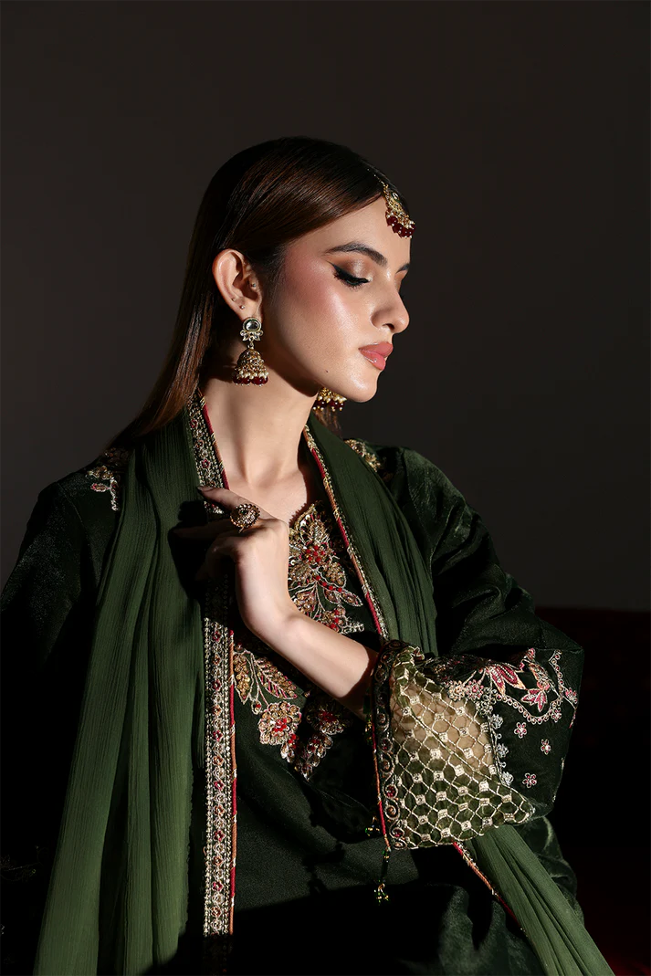 EMAAN ADEEL Zarposh Velvet - AARISH - 01