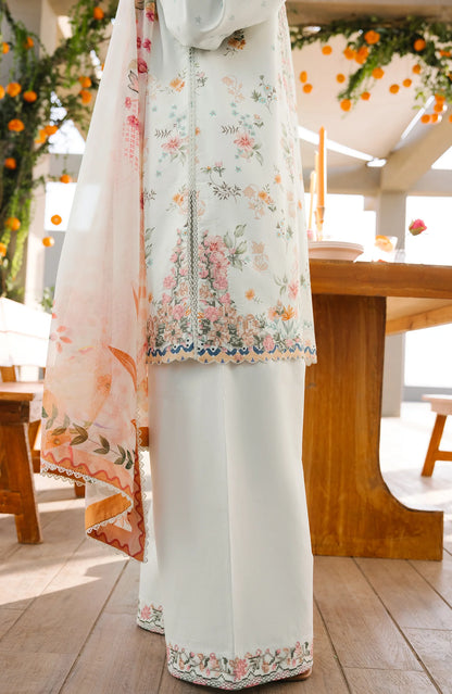 SERAN Afsanah Ira D-13