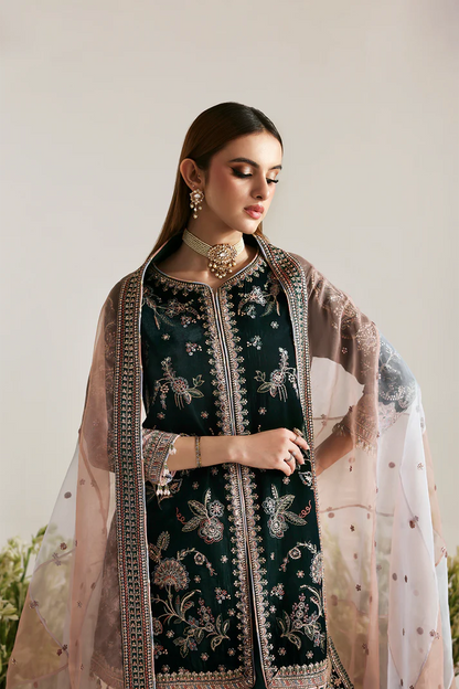 EMAAN ADEEL Zarposh Velvet - MEHRUUNISA - 05