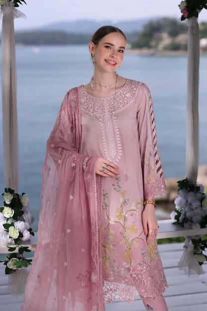 NOOR By SADIA ASAD Luxe Printkari D7-A