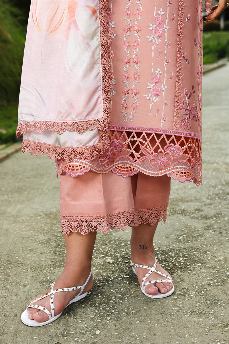 RANG RASIYA Florence Summer Edit '26 Aalen 11