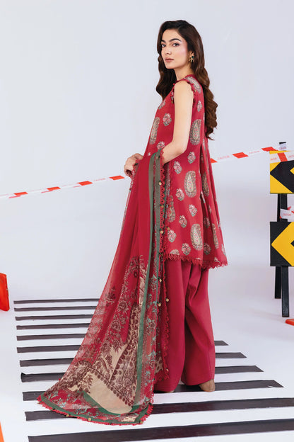 MARIA B. M.Basic Winter MB-CUS25-1110A