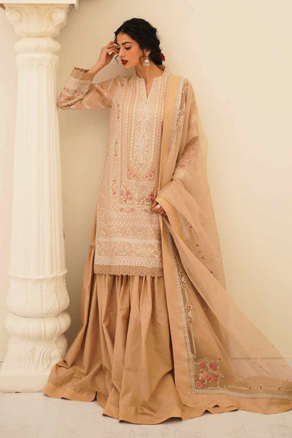 Zara Shahjahan D23-6B