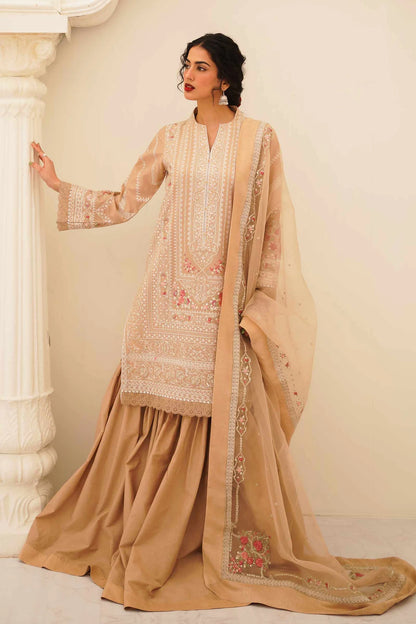 Zara Shahjahan D23-6B