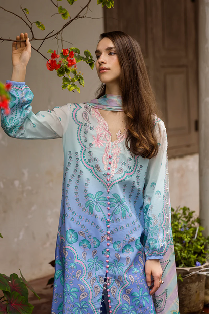 MUSHQ Ameta - 04B