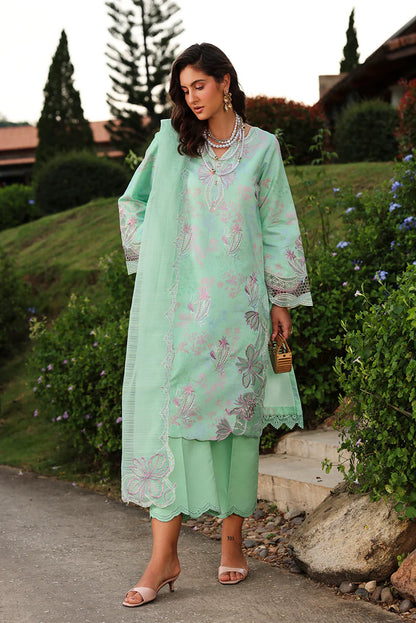 RANG RASIYA Florence Summer Edit '26 Haniya 12