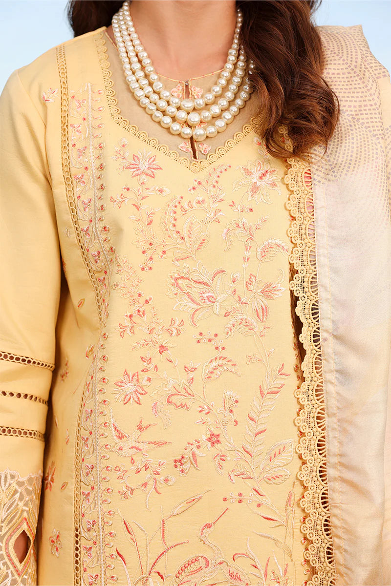 RANG RASIYA Florence Summer Edit '26 Mirha 10