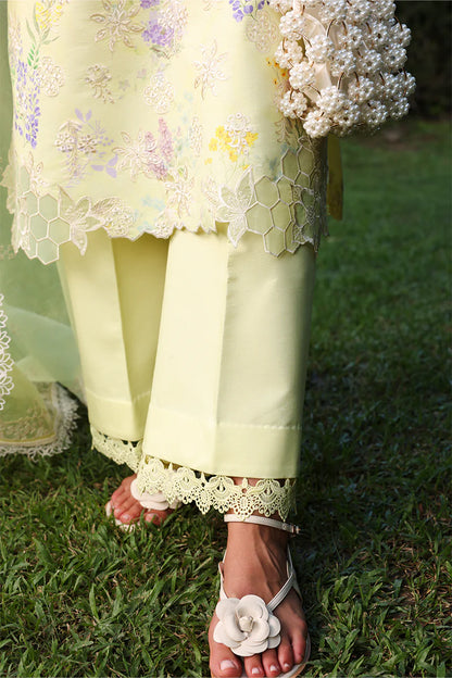 RANG RASIYA Florence Summer Edit '26 Misha 08