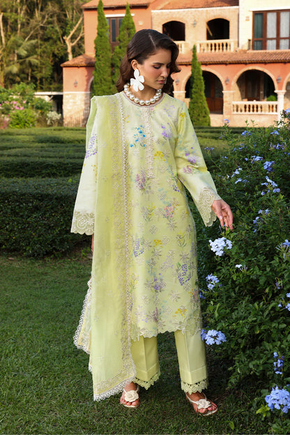 RANG RASIYA Florence Summer Edit '26 Misha 08