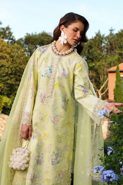 RANG RASIYA Florence Summer Edit '26 Misha 08