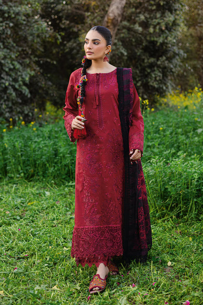 Ramsha Riwayat Y - 1204
