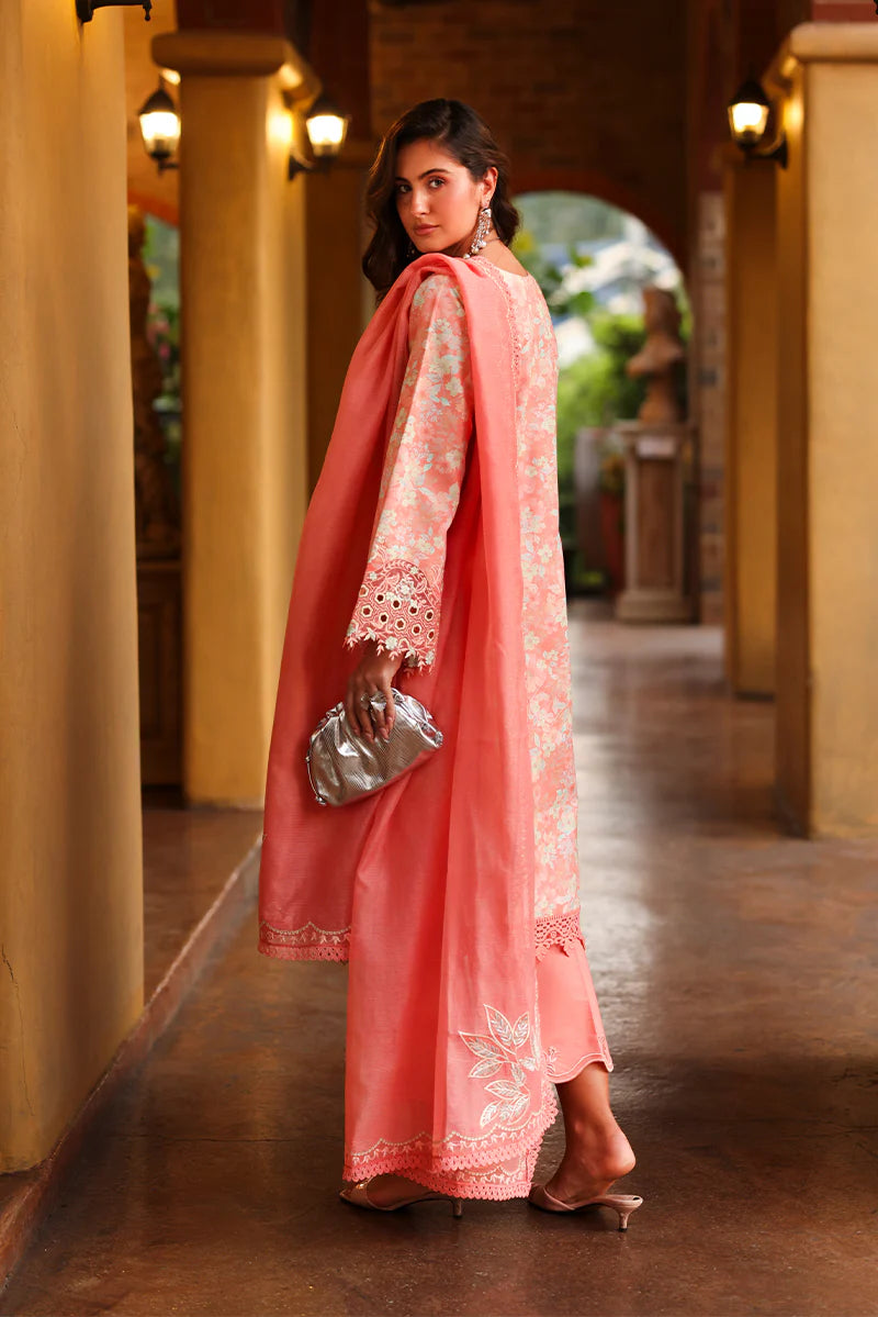 RANG RASIYA Florence Summer Edit '26 Safina 09
