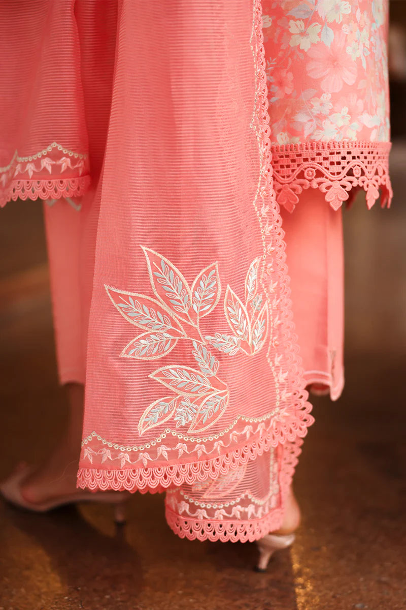 RANG RASIYA Florence Summer Edit '26 Safina 09