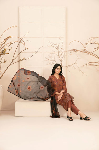 TAWAKKAL D-4856-Alvira