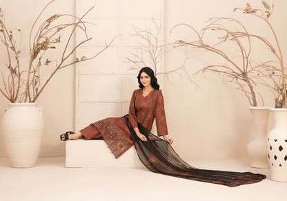 TAWAKKAL D-4856-Alvira