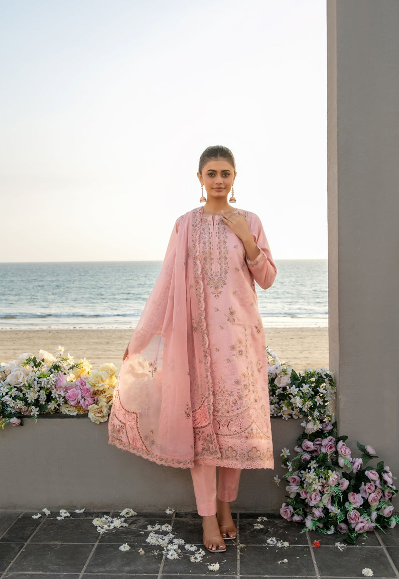 TAWAKKAL Ek Sunehri Dopher D-2633