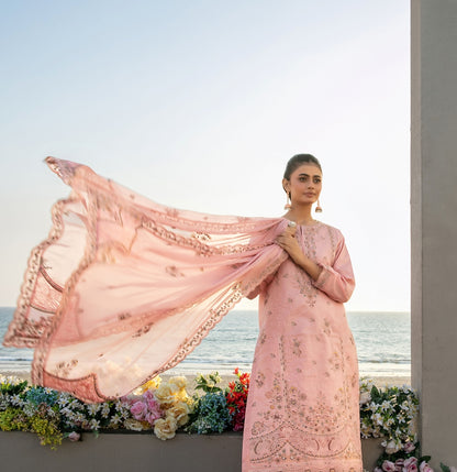 TAWAKKAL Ek Sunehri Dopher D-2633