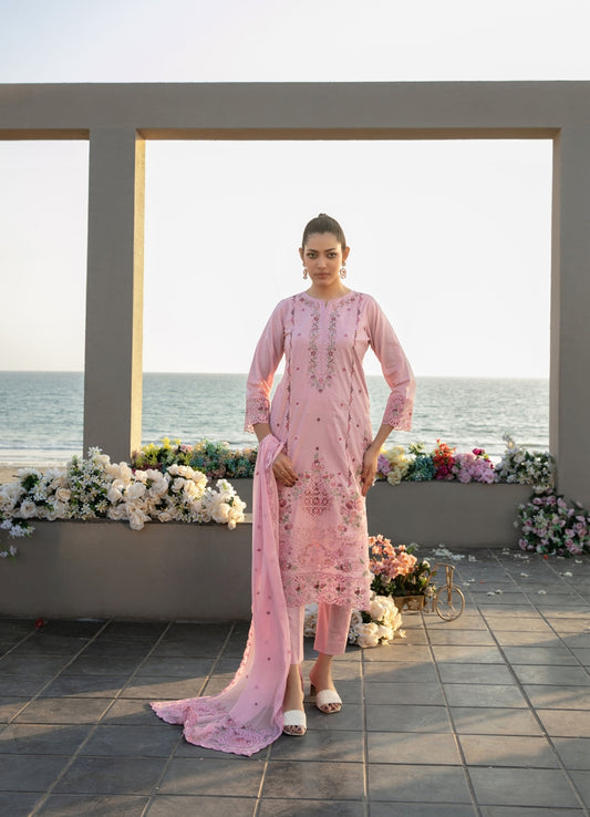 TAWAKKAL Ek Sunehri Dopher D-2638