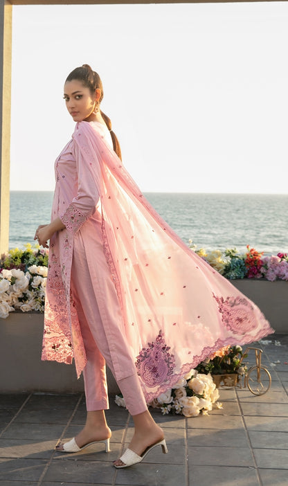 TAWAKKAL Ek Sunehri Dopher D-2638