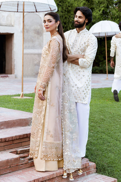 SHAGNA Mehfil Festive Formals SF05- SUNDAL