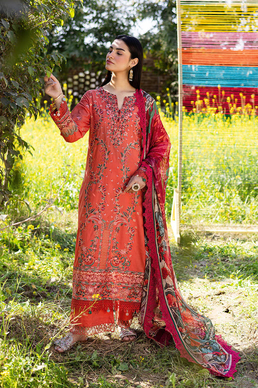 Ramsha Riwayat Y - 1205