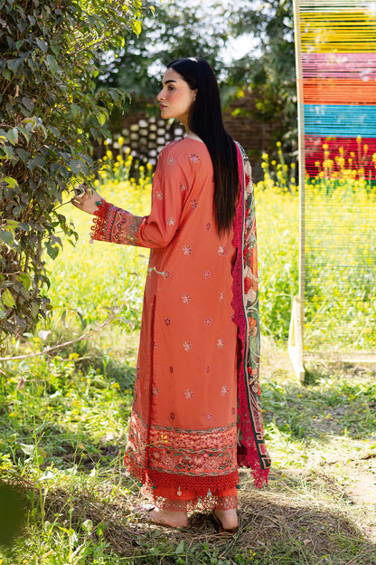 Ramsha Riwayat Y - 1205