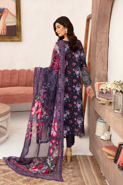 Ramsha Rangrez N-701